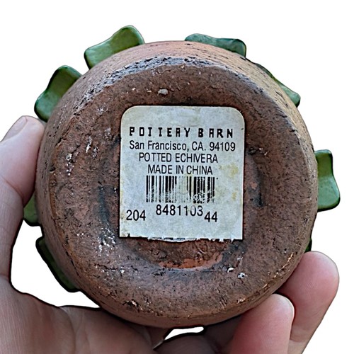 POTTERY BARN Artificial Succulent Plant 6” (set of 2) Clay Pots - Picture 4 of 7