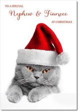 Doodlecards Nephew & Fiancee Christmas Card Grey Cat with Santa Hat