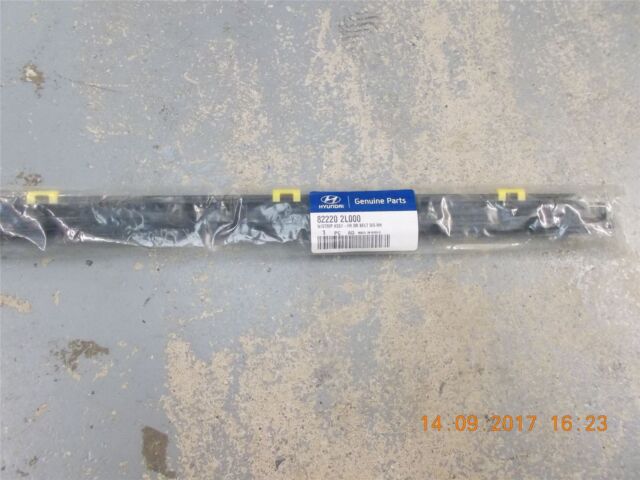 Genuine Hyundai 82210-21320 Door Belt Weatherstrip Assembly 