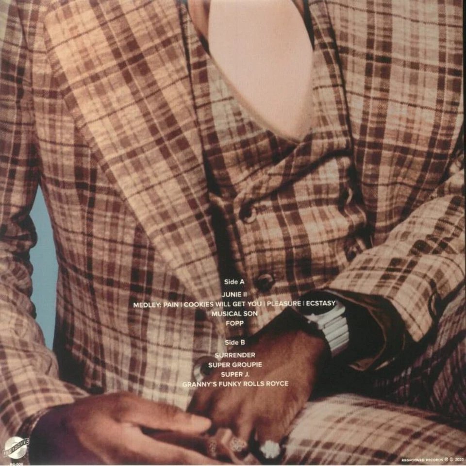 Junie With The Crowd Pleasers - The Funky Worm Live At Dooley's - 1976 (LP) (Blu - Изображение 2 из 2