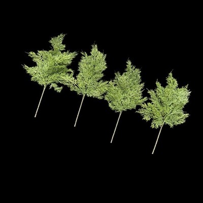Evergreen Real Touch Greenery 17in Stems Set Of 4 Stems