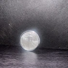 2025 1 oz American Silver Eagle Coin (BU)