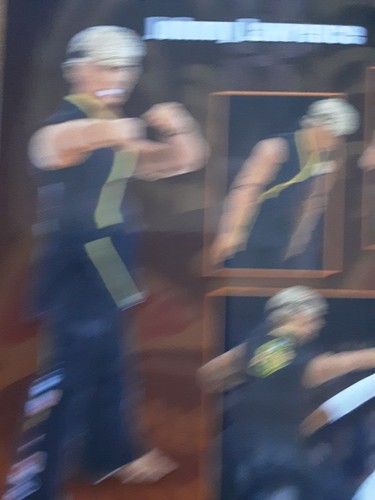 The Karate Kid Daniel Larusso Johnny Lawrence Icon Heroes Figure Set Of 2 - Picture 11 of 19