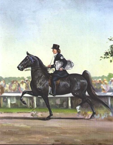 American Saddle Horse - 1951 Vintage illustration by Wesley Dennis