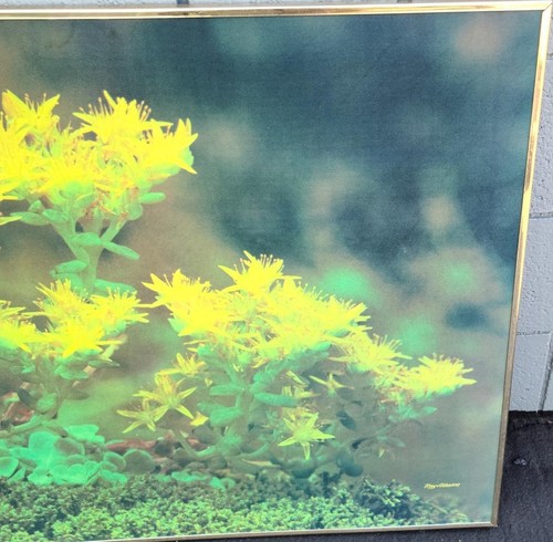 Beautiful Floral Art Print – Fabric Screen – VGC – GREAT LIGHT WEIGHT PIECE - Picture 3 of 5