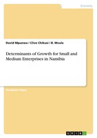 Determinants Of Growth For Small And Medium Enterprises In Namibia Taschenbuch