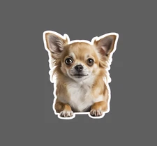 Chihuahua Sticker Waterproof Decal Dog Pet Animal Family Friend Gift NEW