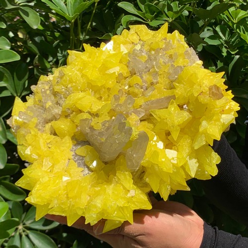 12.76LB Beautiful Minerals ** LARGE NATIVE SULPHUR OnMATRIX Sicily- FREE - 第 15/15 張圖片