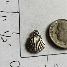 Shell charms ocean sea beach water vacation N