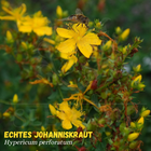 Bild 4 von 5