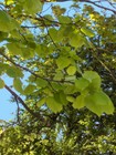 Bild 2 von 4