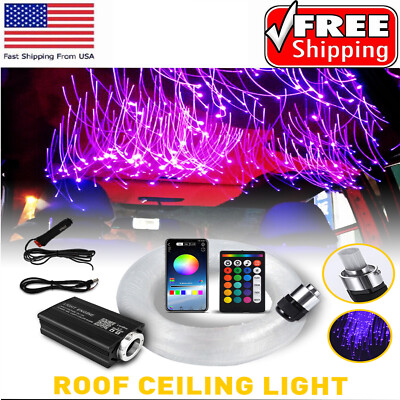 1000PC CAR HOME HEADLINER STAR LIGHT KIT ROOF TWINKLE CEILING LIGHTS FIBER OPTIC