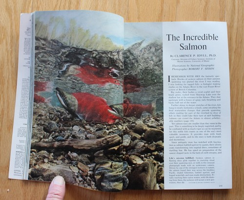 National Geographic agosto 1968. Vascos; Ciudad de México; Salmón; Místico; Cristales - Imagen 7 de 15