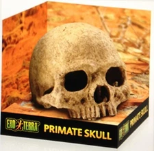 EXO TERRA PRIMATE SKULL HIDE - TERRARIUM DECOR FOR REPTILES AND AMPHIBIANS