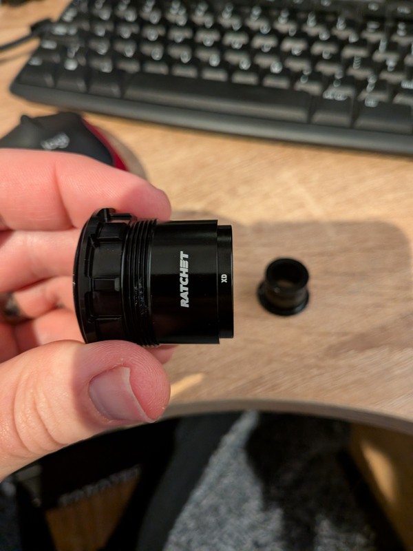 DT SWISS 350 Ratchet Freehub body for SRAM XD  (With 148mm Boost Adaptor)