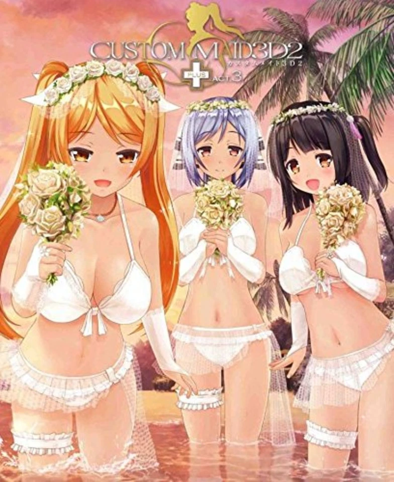 KISS Custom Maid 3D2  ACT-3 for Windows PC game append disc plug-in w/Tracking# - Image 3 of 3