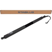 Stabilus HeckklappendäMpfer FüR BMW 3Er F34 Gran Turismo Links 51247298983