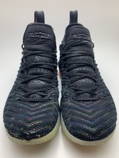 lebron xvi i promise