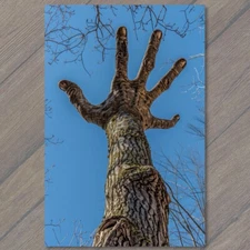 Art Print Tree Hand Reaching For Sky Up Perspective Nature Weird Unusual Wild