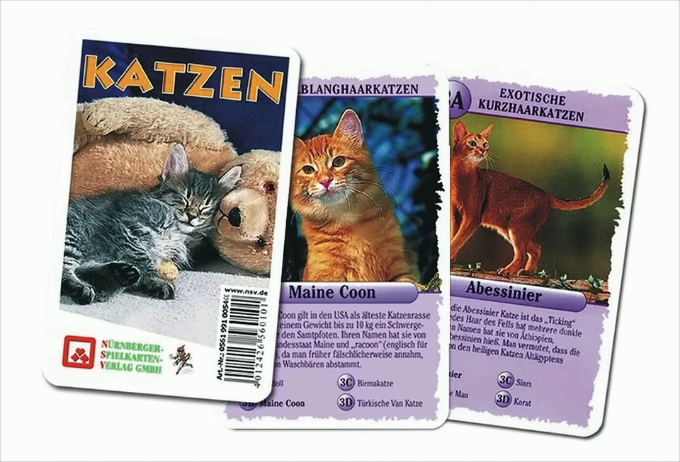 Quartett Katzen - Bild 1 von 1