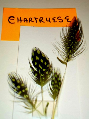 Guinea hen feathers 1/2 skin pelt natural red blue green yellow orange + more - Picture 22 of 65