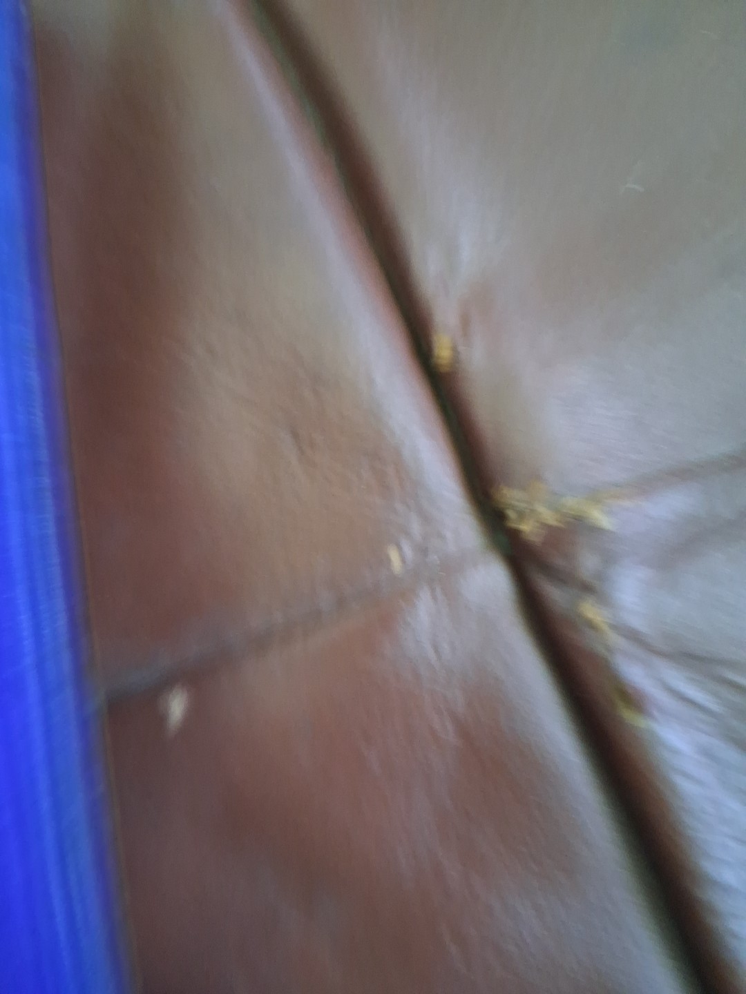Picture 3 of 11