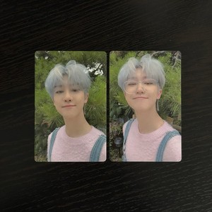 Seventeen an Ode Photocard The8 for sale | eBay