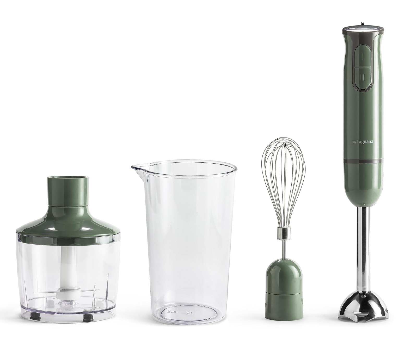 Tognana Iridea Mixer a Immersione 600W - Scheda Tecnica e Accessori
