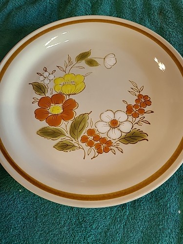 Mountain Wood Collection Stoneware Trellis Blossom 10.5" Dinner Plate Japan - Picture 2 of 6