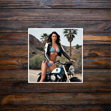 Pinup Girl Sticker Vinyl Decal Woman Brunette Cleavage Seductive Sexy Bombshell Pinup Girl Sticker Vinyl Decal Woman Brunette Cleavage Seductive Sexy Bombshell