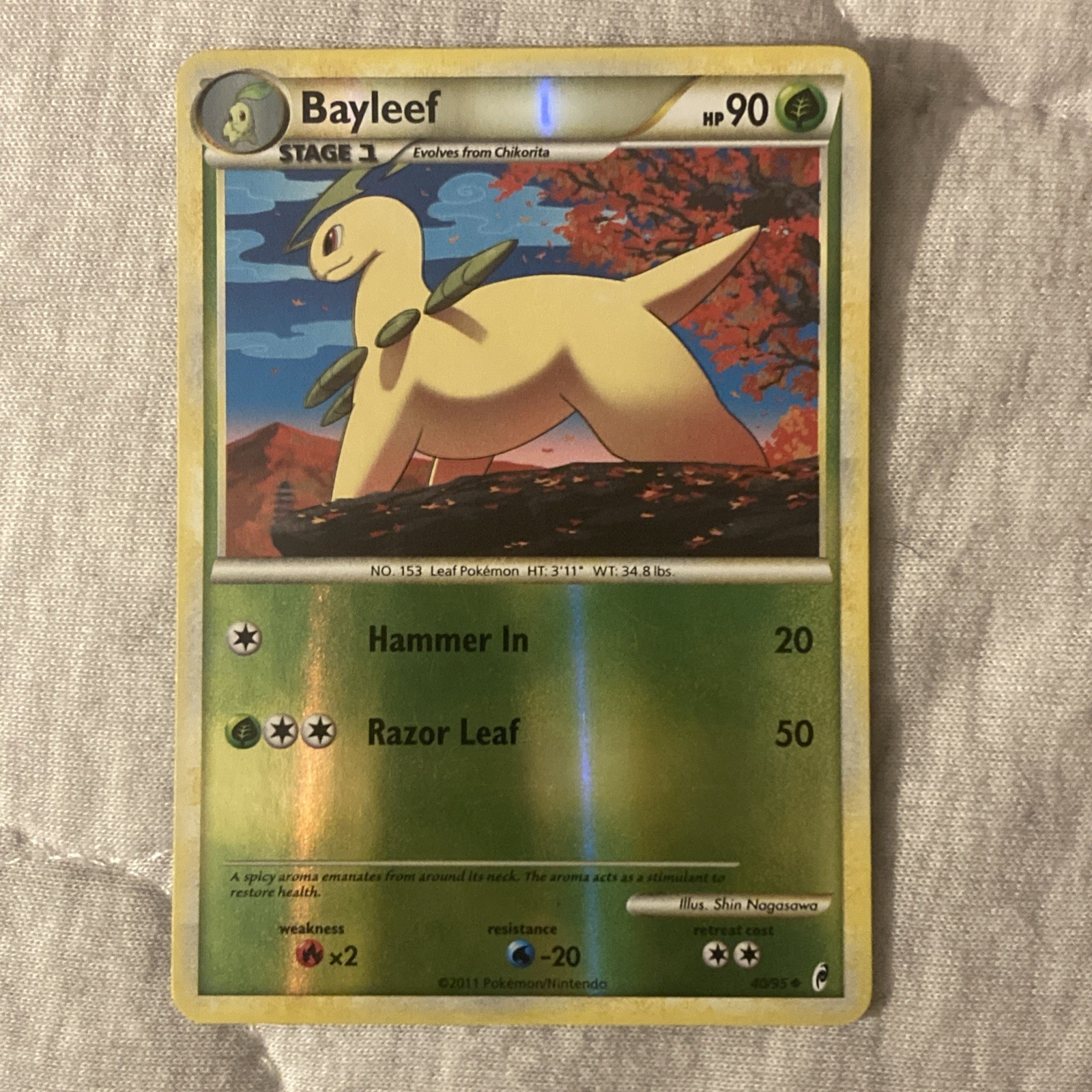 Pokemon Card Bayleef 40/95 Call of Legends Rev Holo