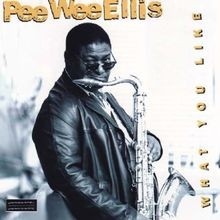 What You Like von Pee Wee Ellis  Ndr Big Band | CD | Zustand sehr gut