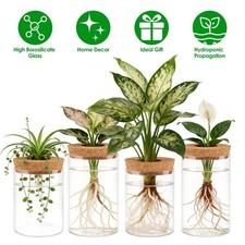 Set of 4 Glass Plant Propagation Stations for Plants Desktop Vases Room Decor