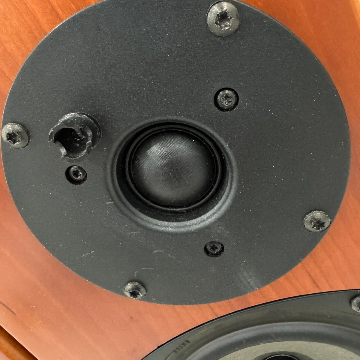 REGA ARA スピーカー 英国製 オーディオ Rega Ara Bookshelf Speakers / LoudSpeakers Made in England