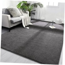 Area Rugs for Bedroom Living Room, 4x6 Dark Grey Super Soft Comfy Thickened