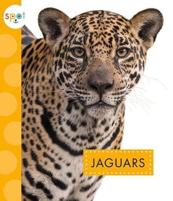 Jaguars by Alissa Thielges (English) Paperback Book