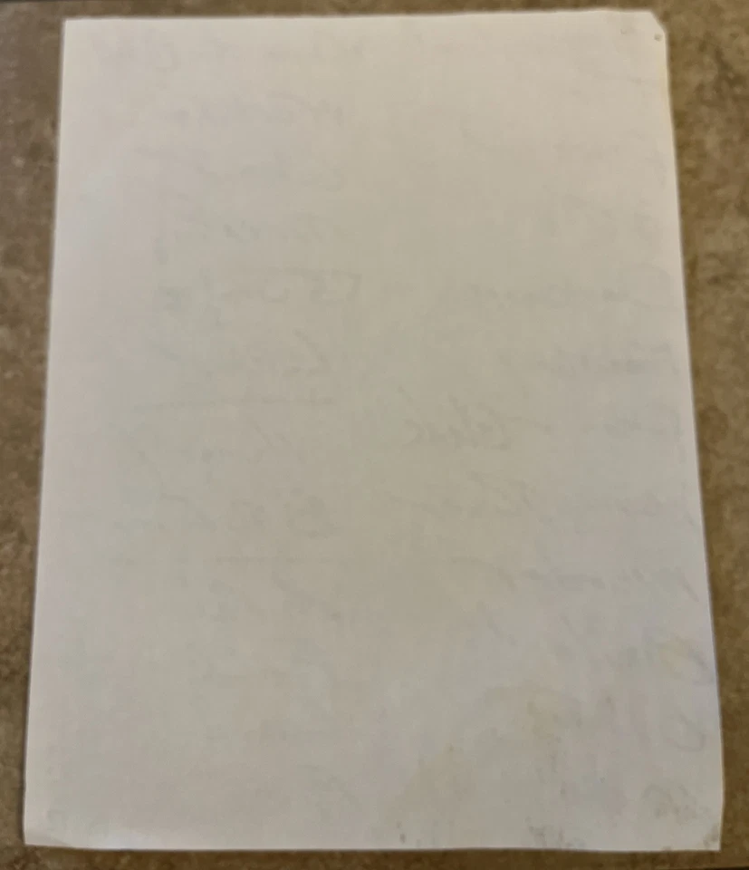 Democrat BRUCE SPRINGSTEEN East Rutherford, NJ Authentic Stage Set List 8/12/99 - Image 2 of 2