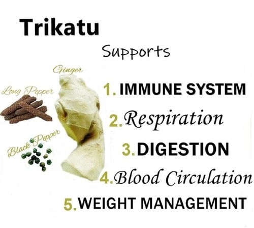 Himalaya Trikatu 60 Tablets x15 | Herbal Digestive Aid | Natural Wellness | - Picture 2 of 8