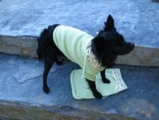 Dog Sweater XS 8-9 inches