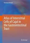 Atlas of Interstitial Cells of Cajal in the Gastrointestinal Tract von Terumasa Komuro (2012, Gebundene Ausgabe)