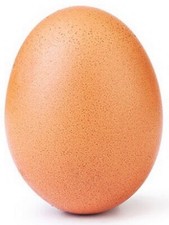 WORLD RECORD EGG MEME FUNNY High Quality T-Shirt Iron On Transfer