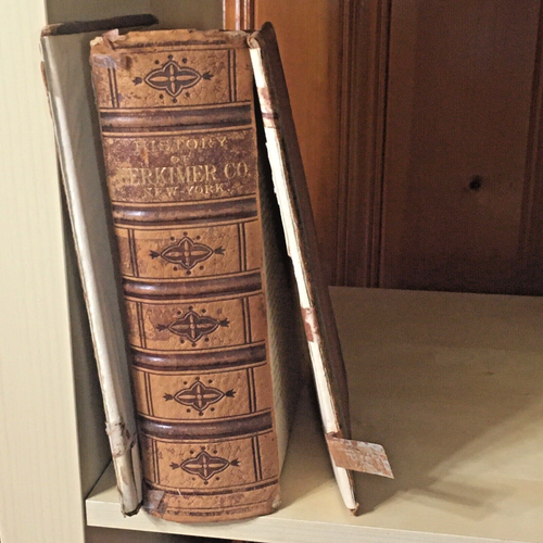 History of Herkimer County New York 1893 1st with portraits. DETACHED