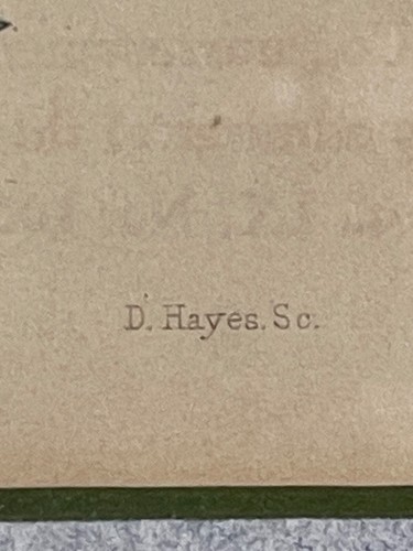 Vintage Rare Botanical Illustration Unfinished Colored ROSE D Hayes 4299 - Picture 10 of 19