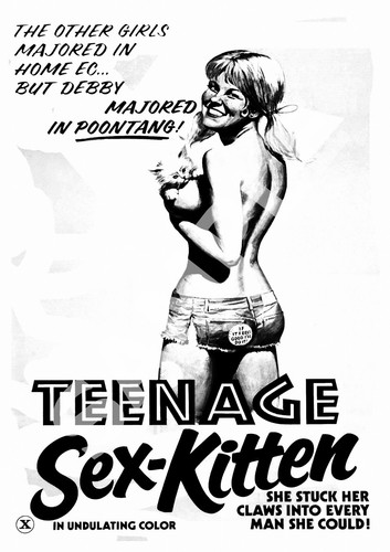 Chaton sexuel adolescent : reproduction d'affiche publicitaire de film adulte vintage. - Photo 1/1