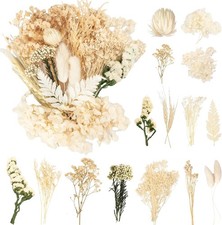 Getrocknete Blumen f&uuml;r Basteln, Mini Trockenblumen, Kunst, DIY, Scrapbooking