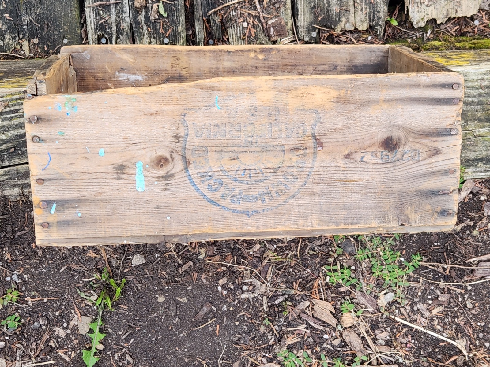 Herald Brand Prunes Wood Box Shipping Crate California Fruit Vintage Distressed