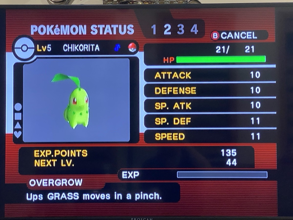 Pokemon XD Gale of Darkness Chikorita Cyndaquil Totodile