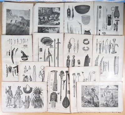 Illustrations of Tribal Warrior Life in 1870s Pacific Islanders Borneo Hawaii