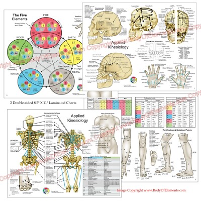 Applied Kinesiology Chart Set 8.5