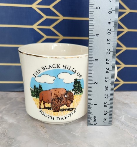 Vintage Black Hills South Dakota Souvenir Mug - Bild 5 von 5
